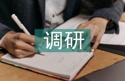 品牌戰(zhàn)略調(diào)研