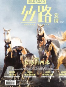絲路發現雜志