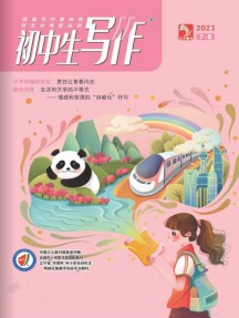 初中生寫作