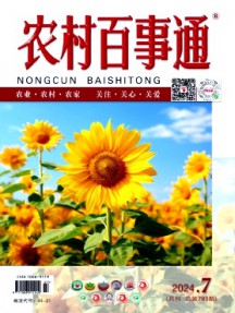 農村百事通